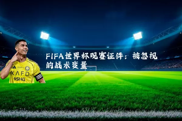 FIFA世界杯观赛证件:被忽视的战术变量